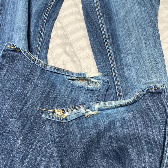 AE Artist - Picture 5 of 5